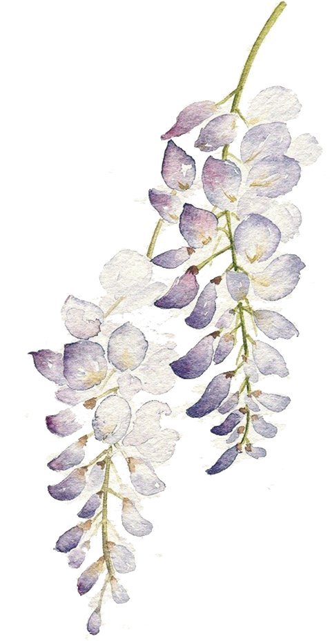 Lavender Wreath Watercolor Background