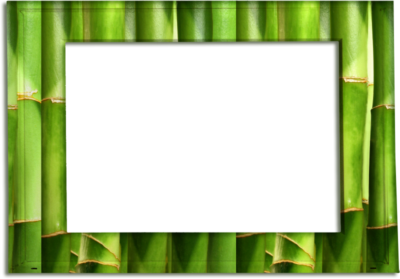 A Black Rectangular Frame Of Green Bamboo