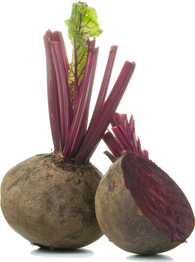 A Beet Root With A Leaf Sprouting Out Of It