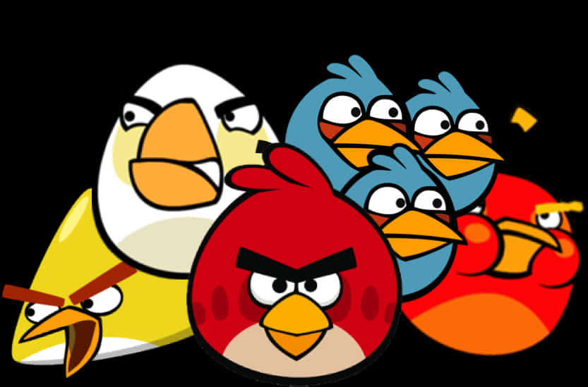 A Group Of Cartoon Birds