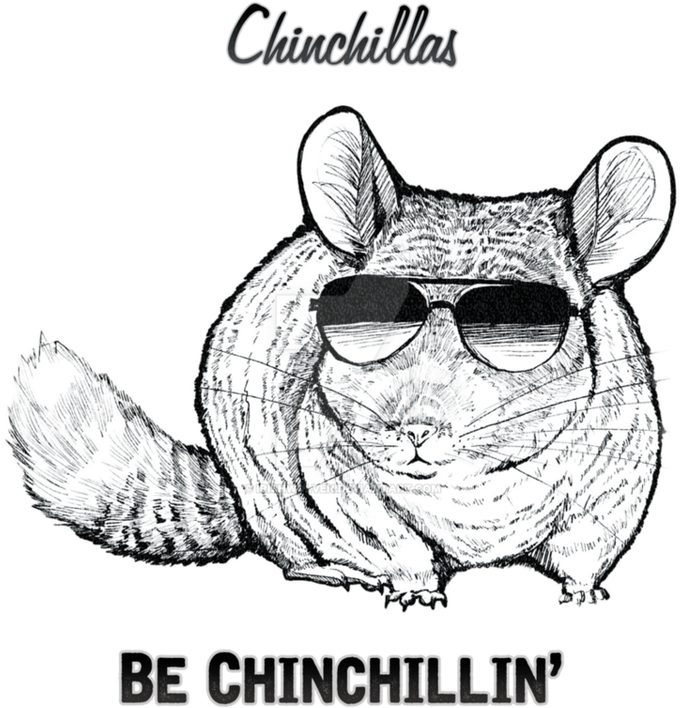 A Chinchilla Wearing Sunglasses