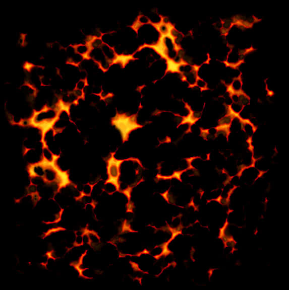 A Close Up Of A Lava