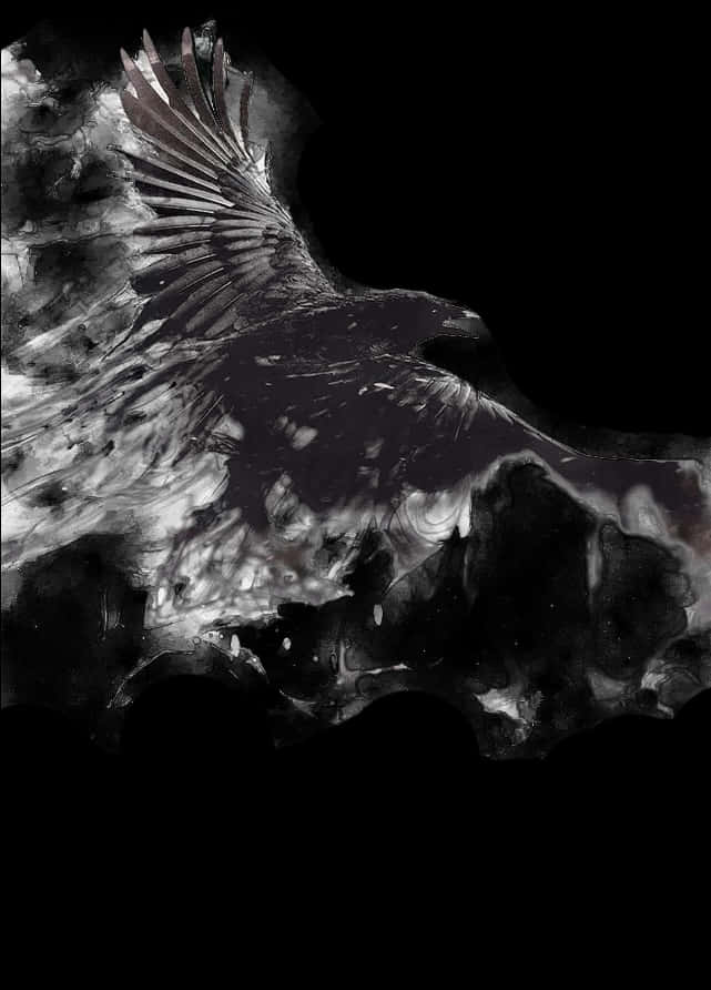 Transparent Crow Png - Crow Wallpaper Android, Png Download