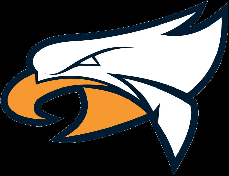 A White Eagle Head With Orange Beak