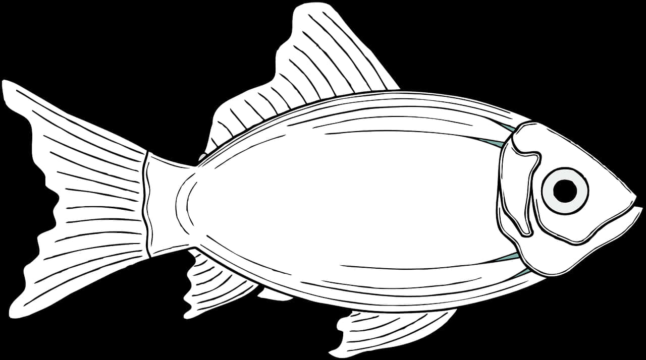 A White Fish With A Black Background