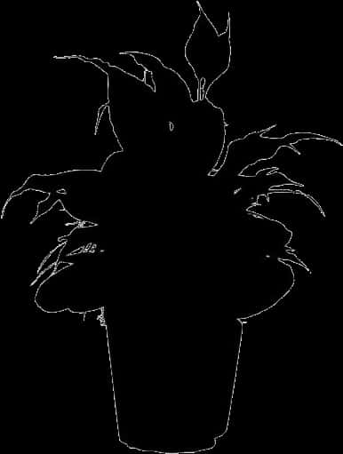 A Silhouette Of A Plant