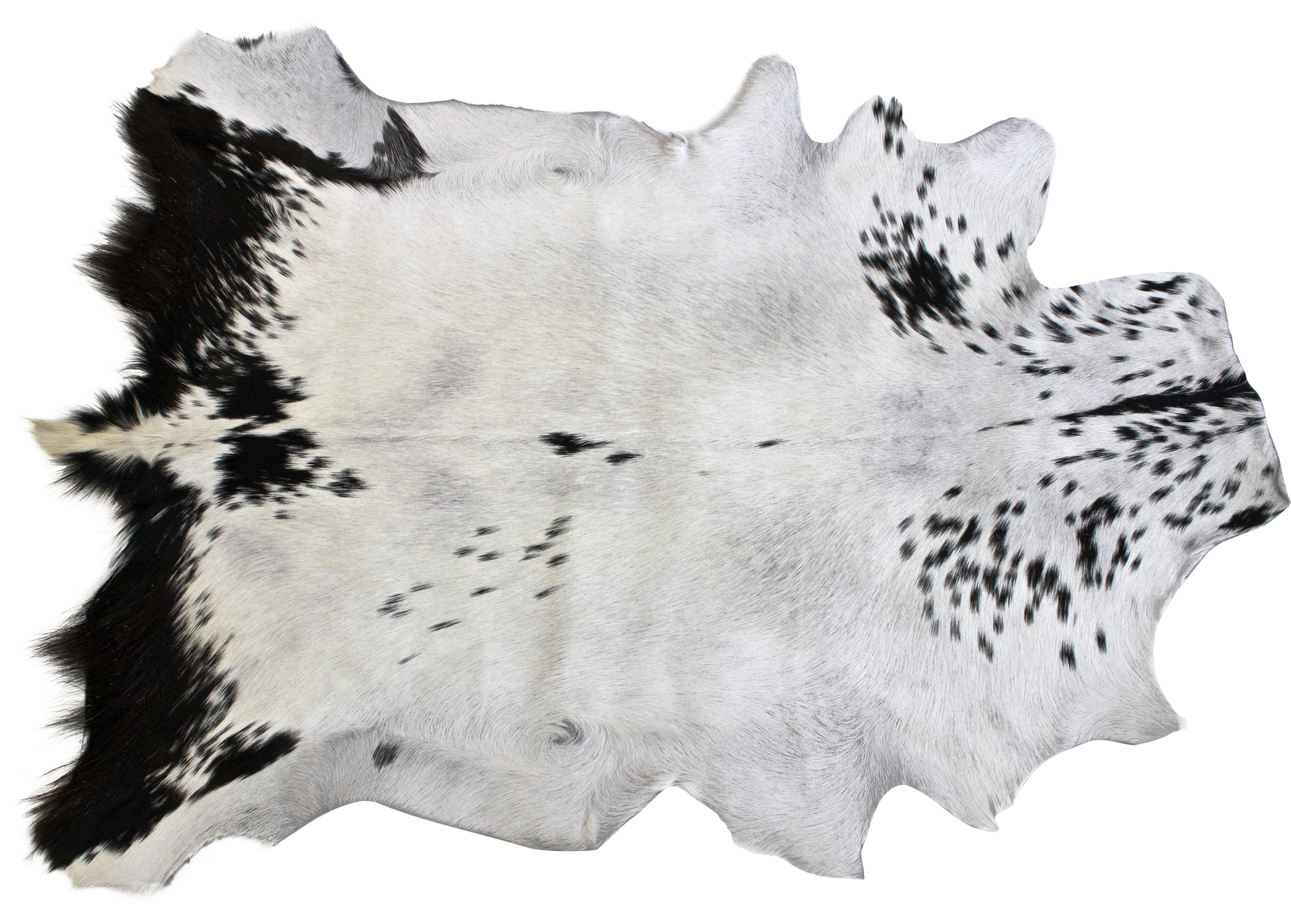 A Black And White Animal Skin