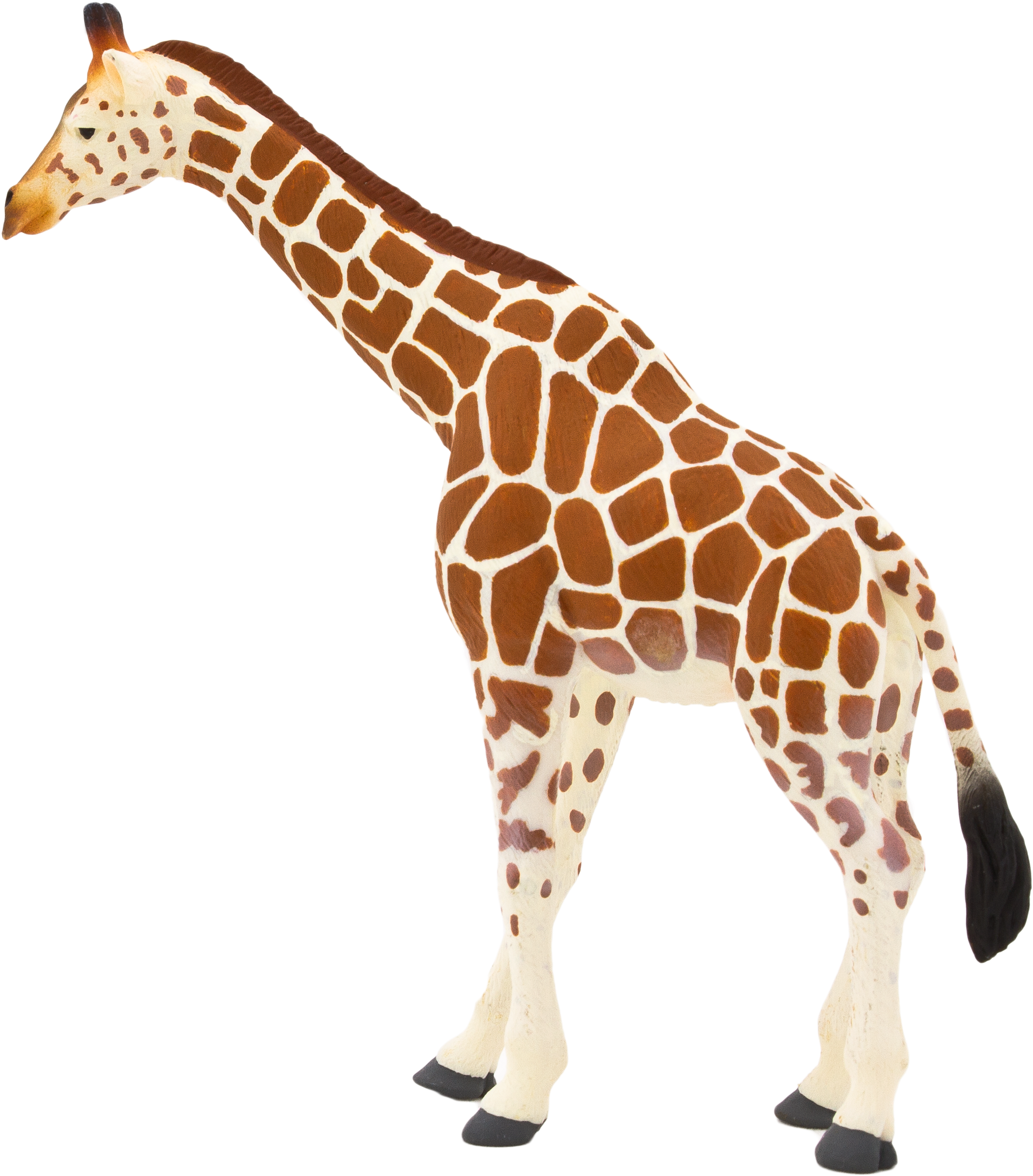 Transparent Giraffe Head Png - Animal Planet Mojo Giraffe, Png Download