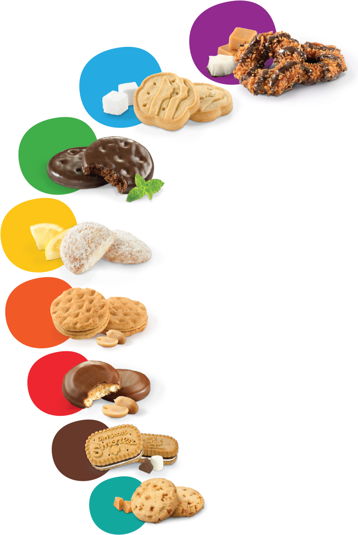 A Group Of Cookies In Different Colors