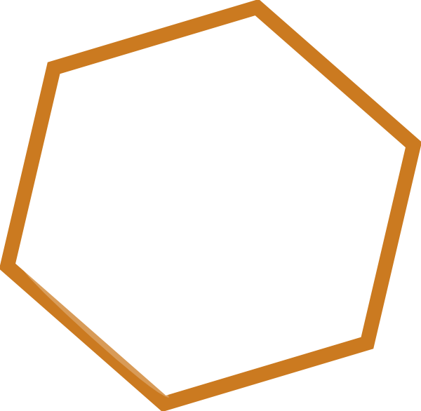 A Black Hexagon With Orange Border