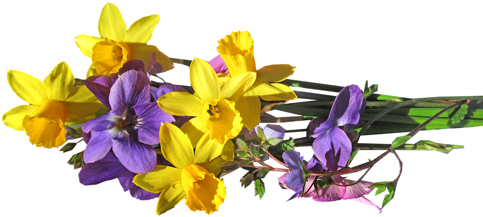 A Bunch Of Yellow And Purple Flowers