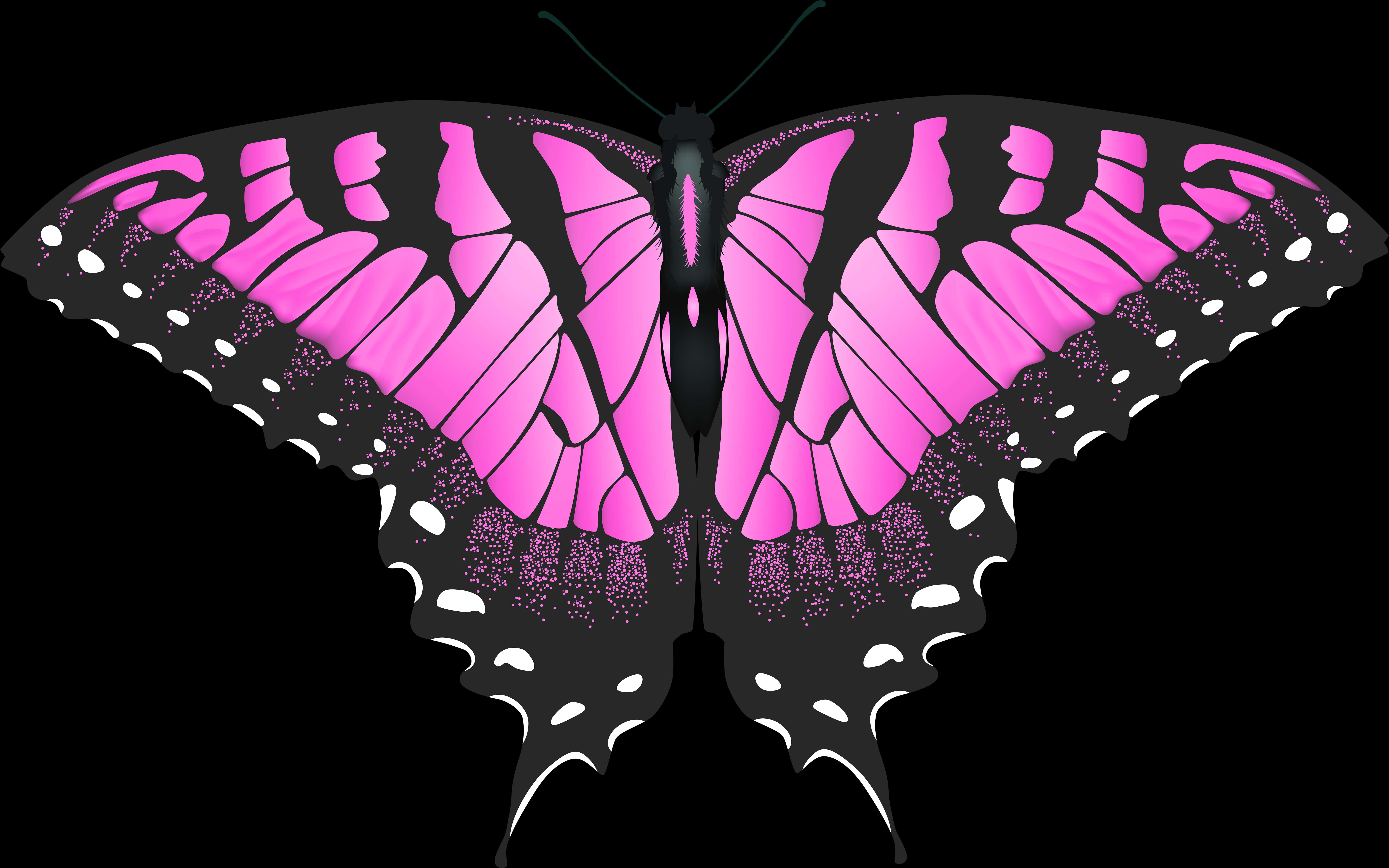 A Pink And Black Butterfly