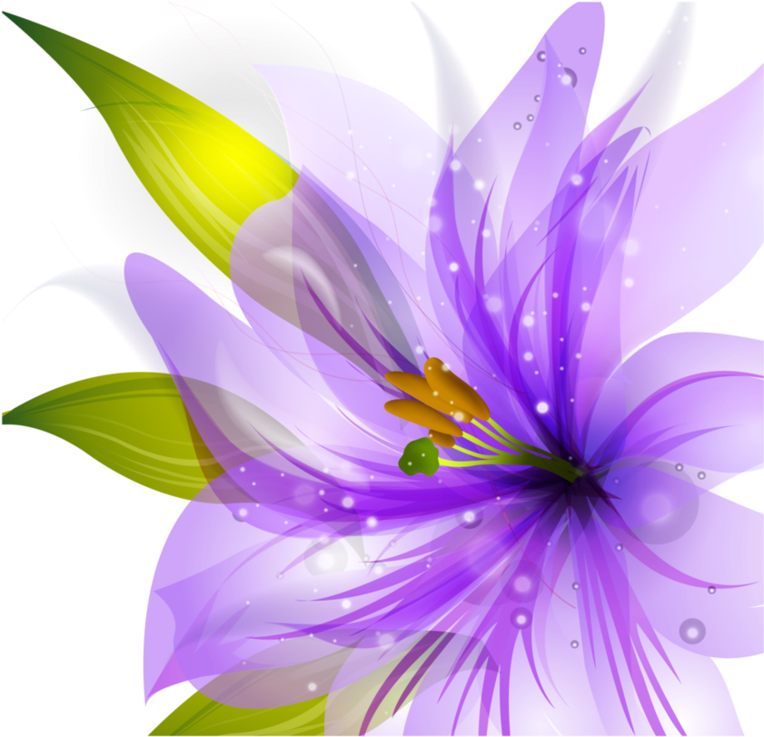 Transparent Jasmine Flower Png - Flowers Background Vector Png, Png Download