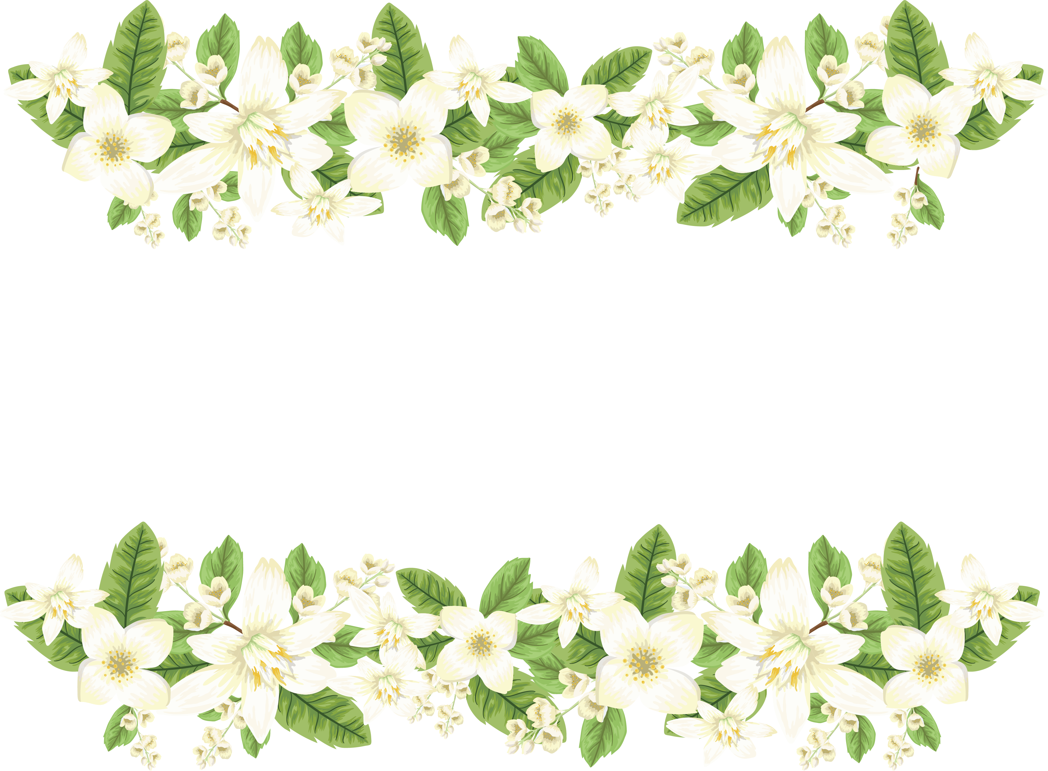 A White Flowers And Green Leaves