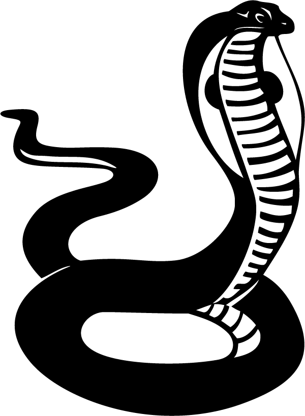 A Black And White Image Of A Snake