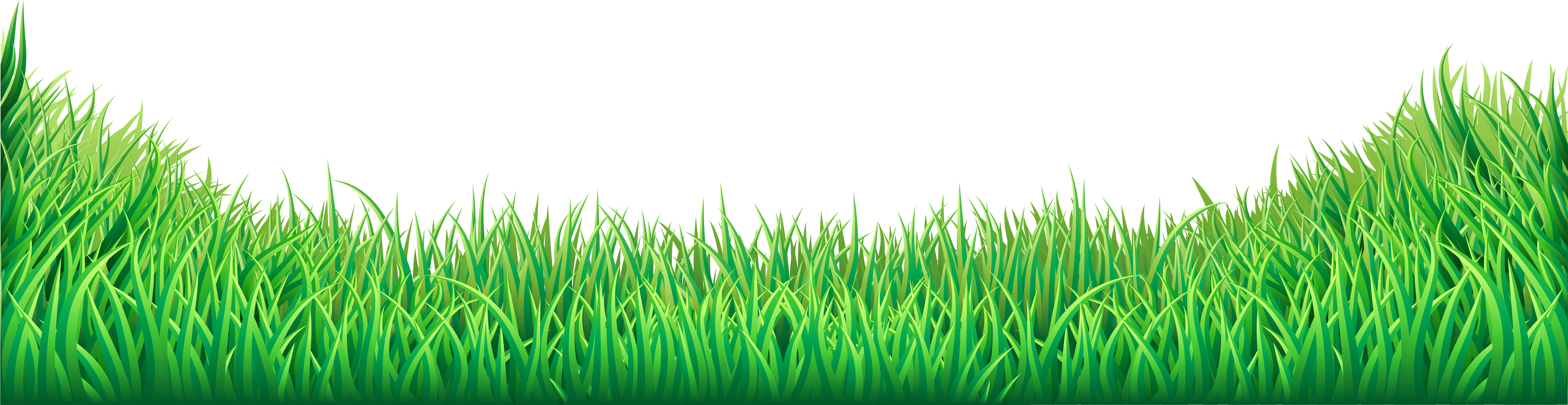 A Close-up Of Grass