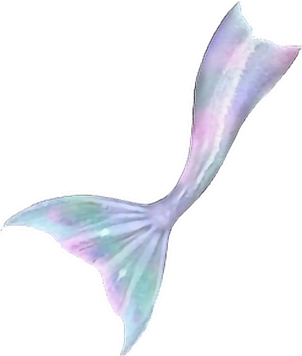 Transparent Mermaid Tail Png - Mermaid Tail Transparent, Png Download
