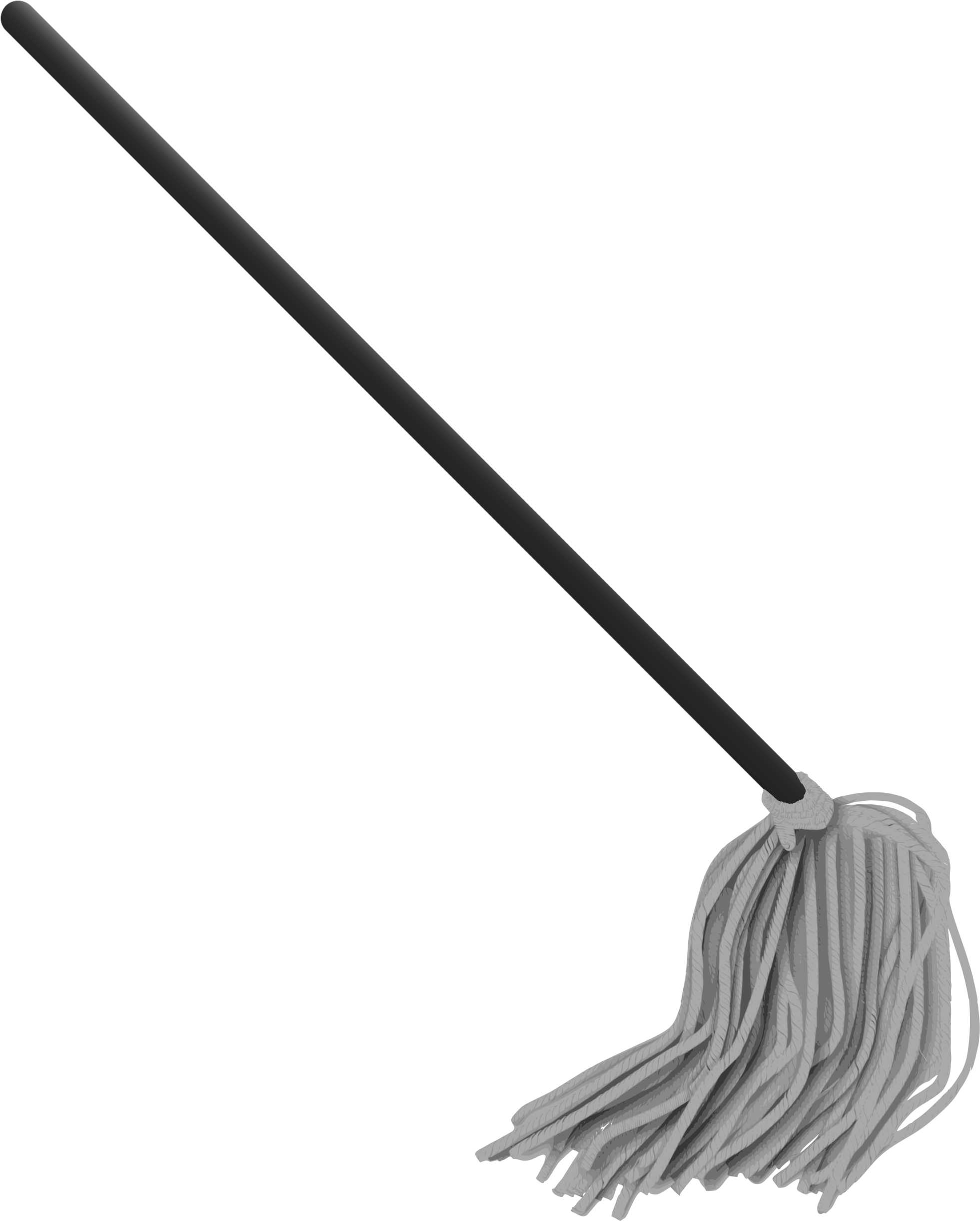 A Mop With A Handle