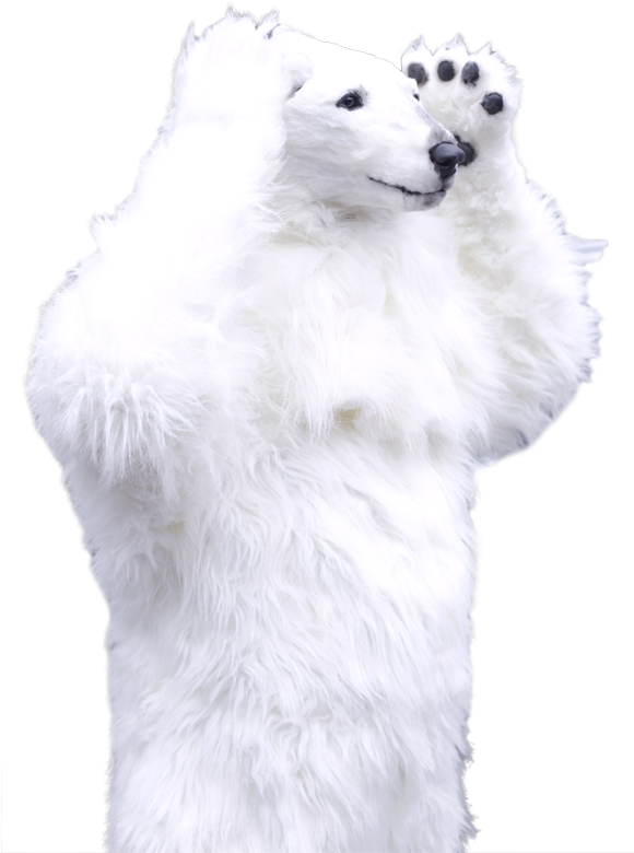 A White Bear Standing On Its Hind Legs