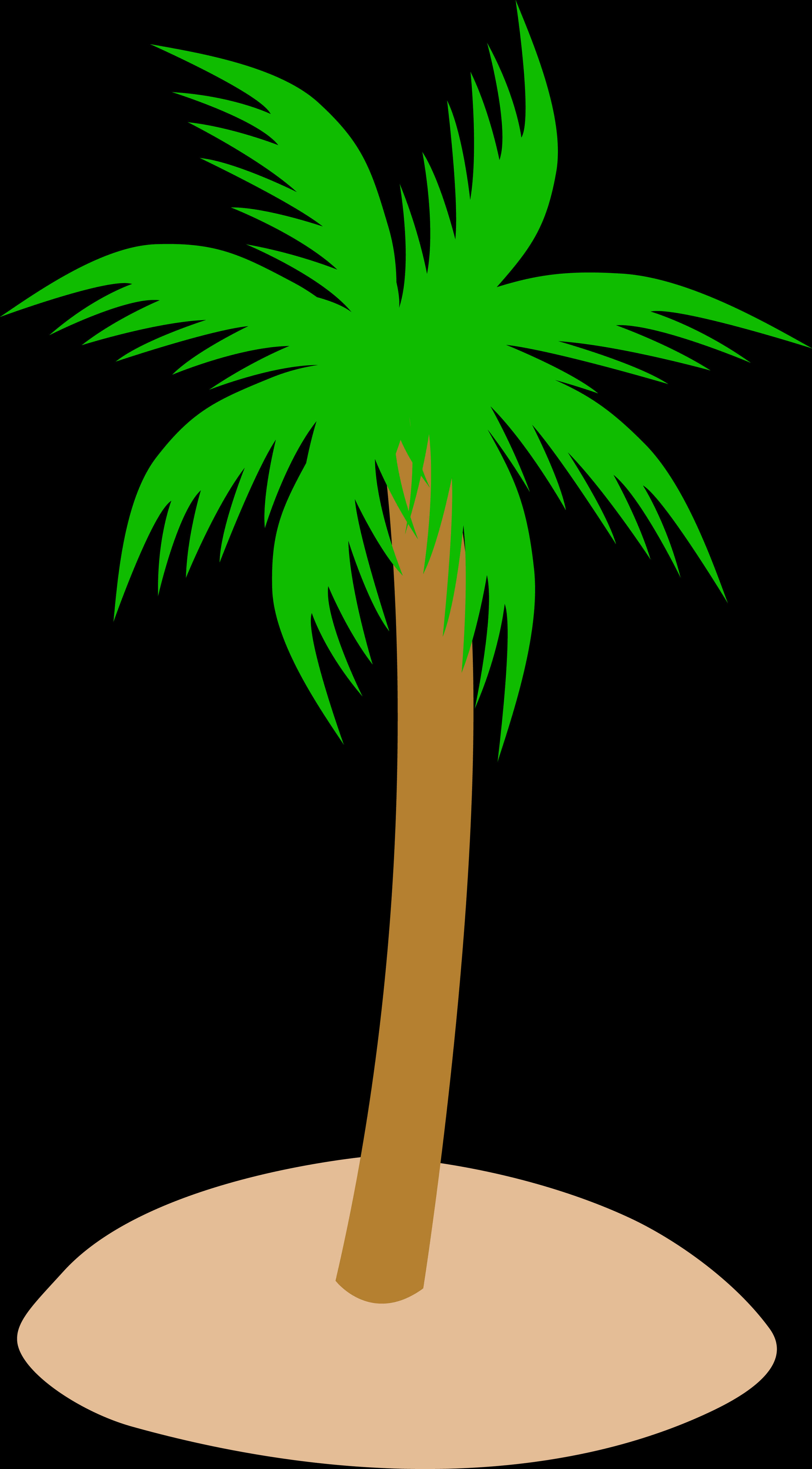 Download A Palm Tree With Green Leaves [100% Free] - FastPNG