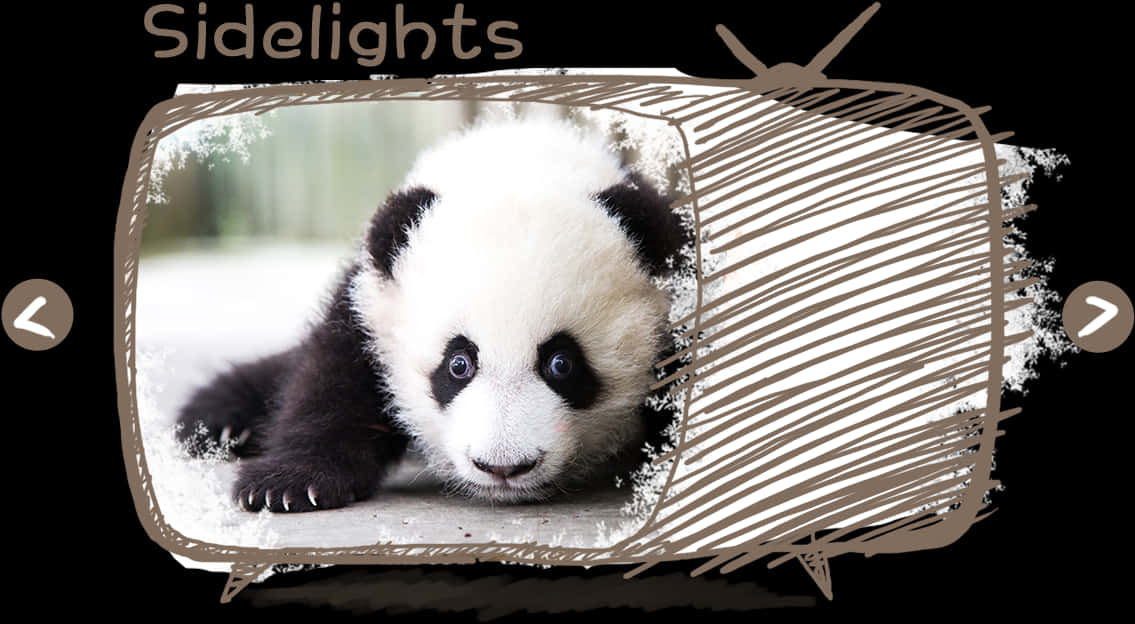 A Panda Cub With Its Paws On A Wall