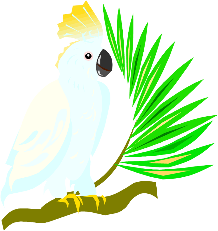 A White Parrot On A Branch