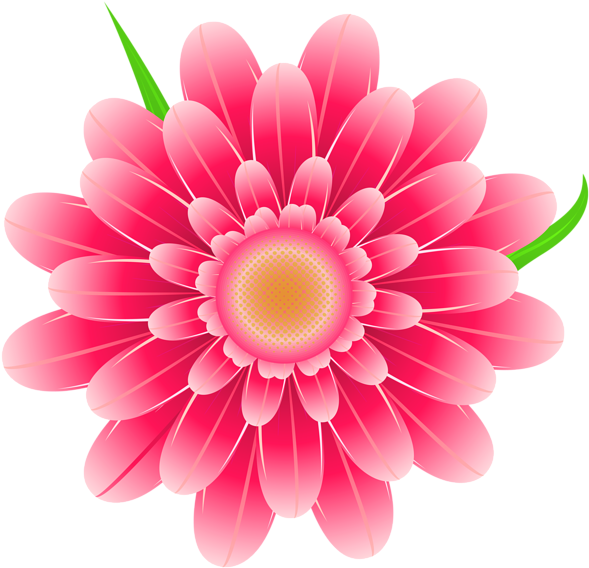 A Pink Flower With Green Stems