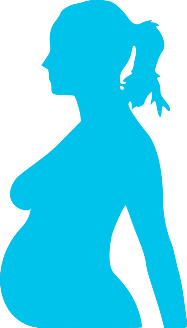 A Silhouette Of A Pregnant Woman