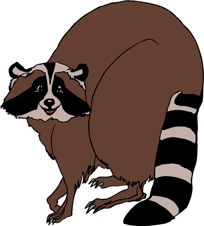 A Raccoon With A Striped Tail