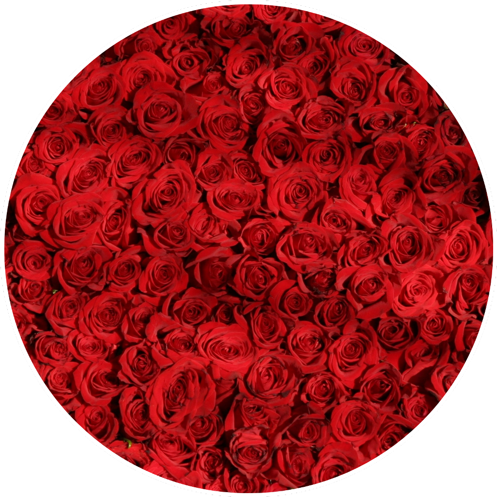 A Group Of Red Roses