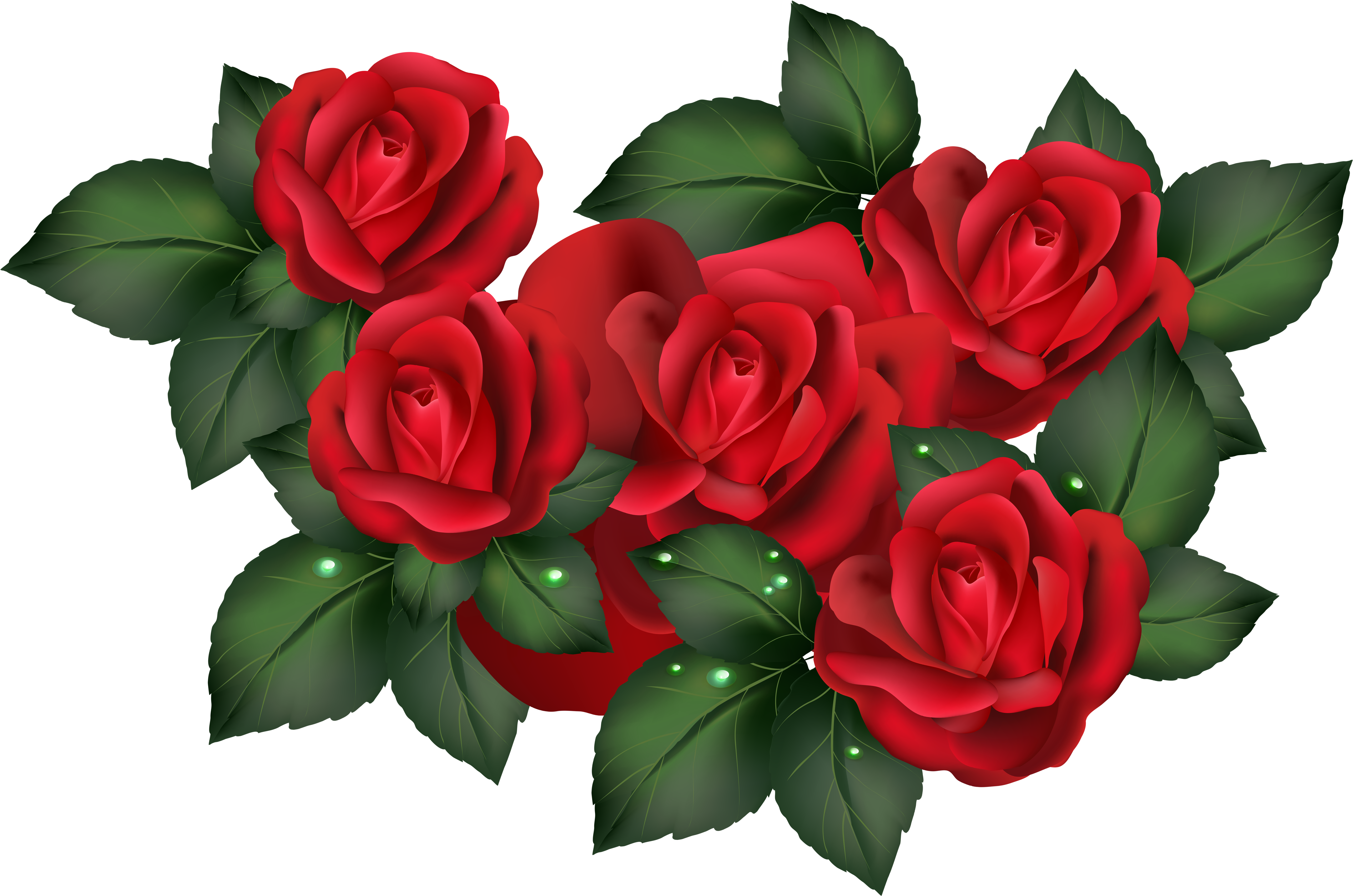 A Group Of Red Roses With Green Leaves