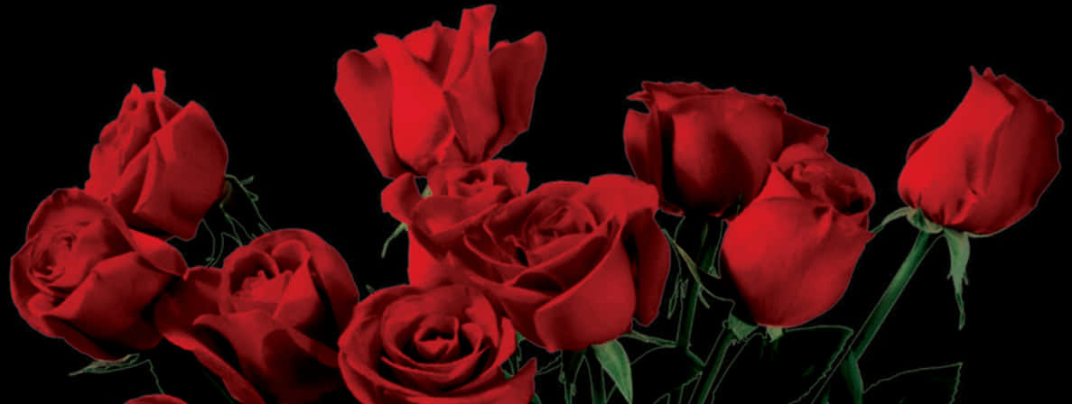 A Close-up Of A Bunch Of Red Roses