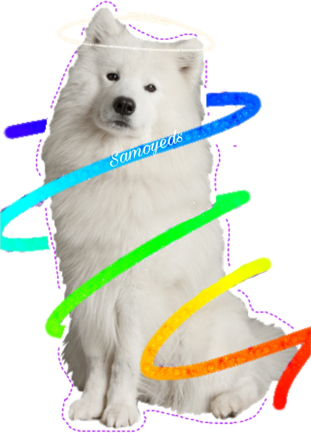 A White Dog With Rainbow Spirals Around It