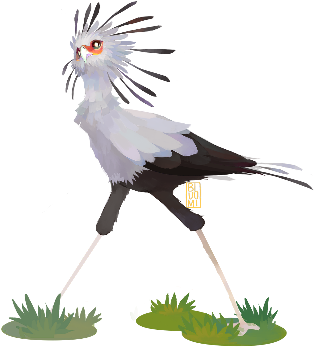 A Bird With Long Legs And A White And Black Head