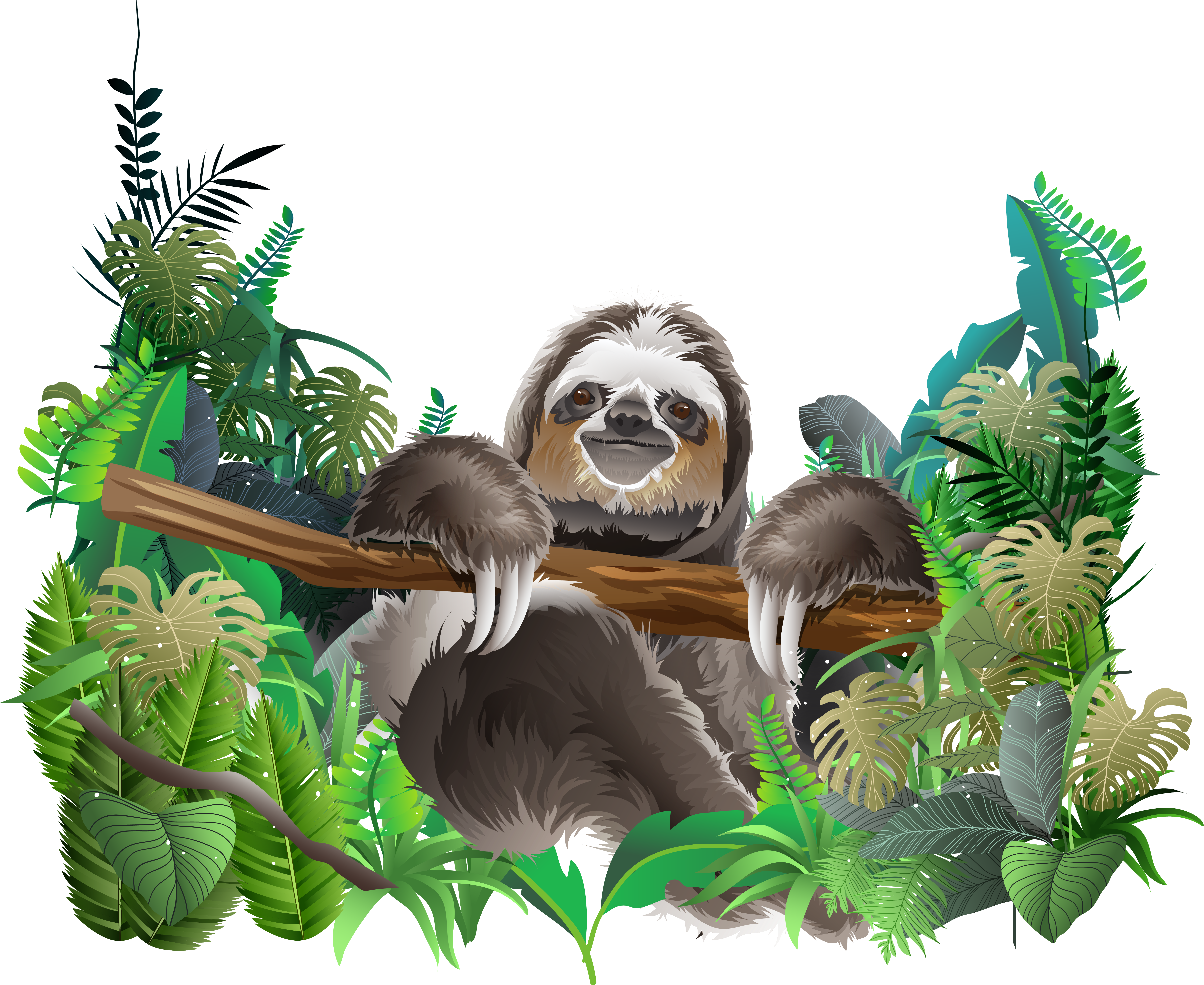 A Sloth Holding A Branch In The Jungle