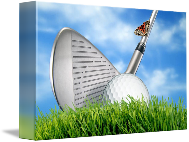A Butterfly On A Golf Club
