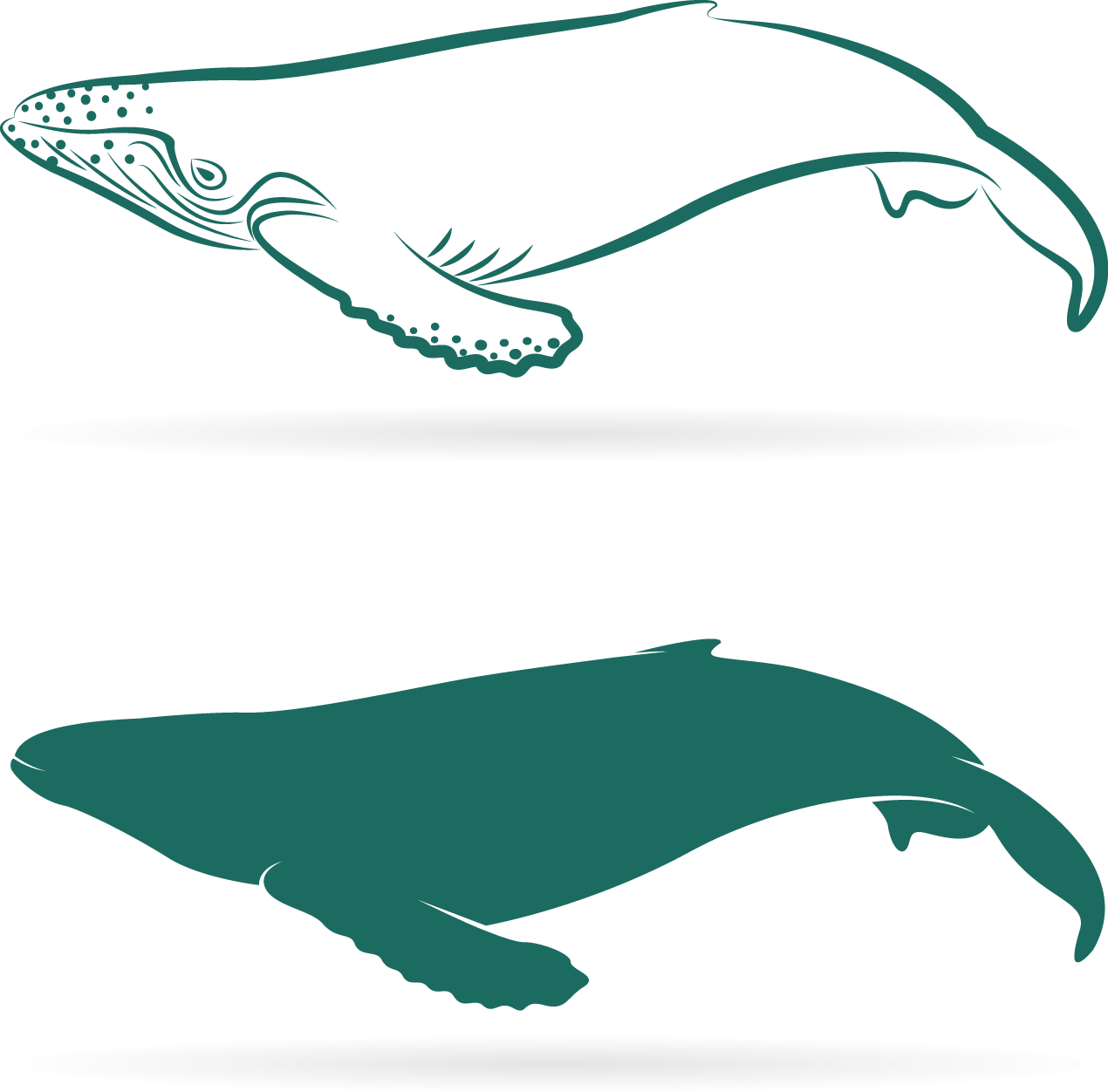 A Whale And Whale Silhouettes