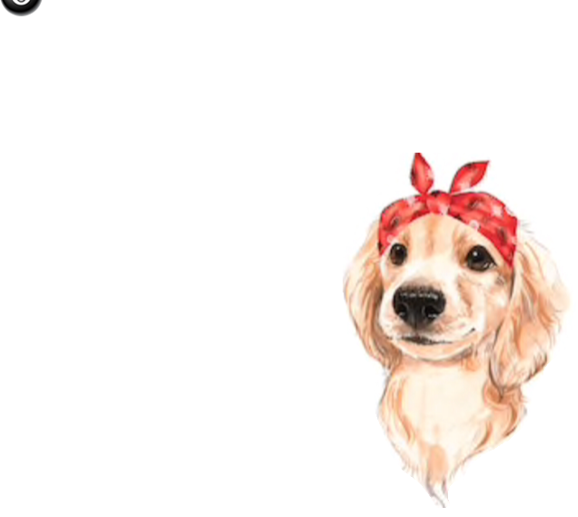 A Dog With A Red Bandana On Its Head