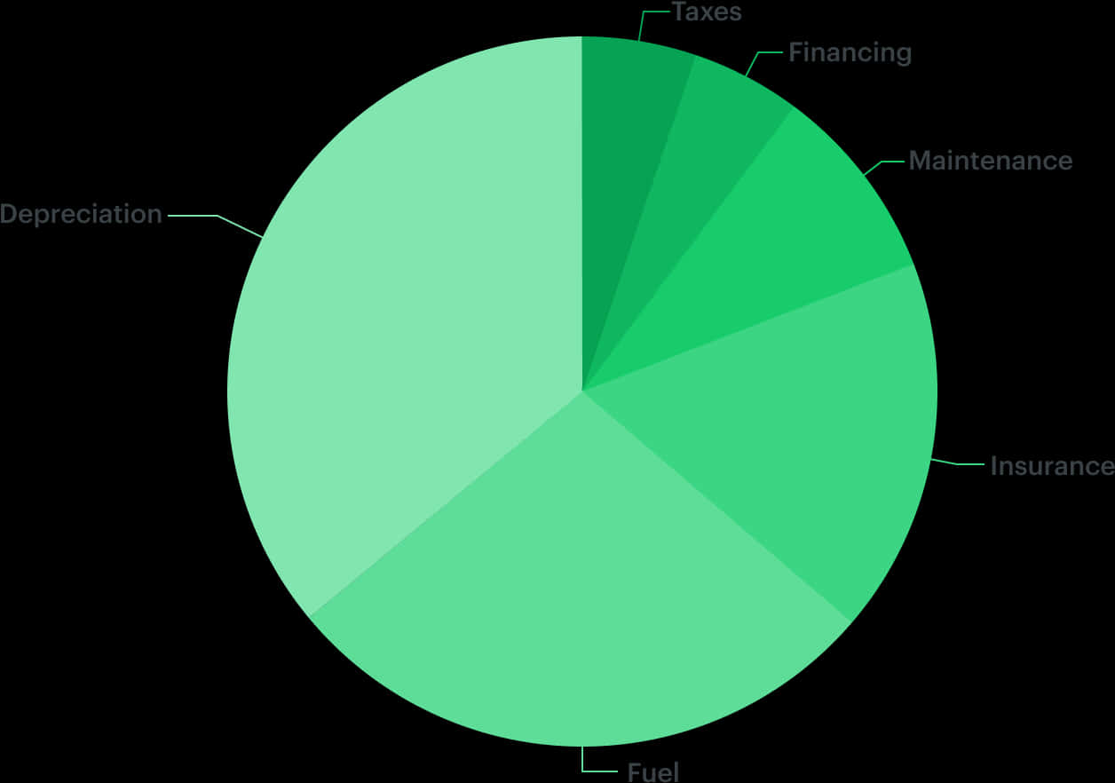 A Green Pie Chart With White Text