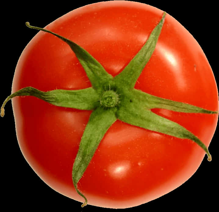 A Tomato With A Green Stem