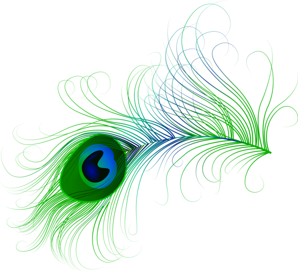 A Peacock Feather With A Blue Eye