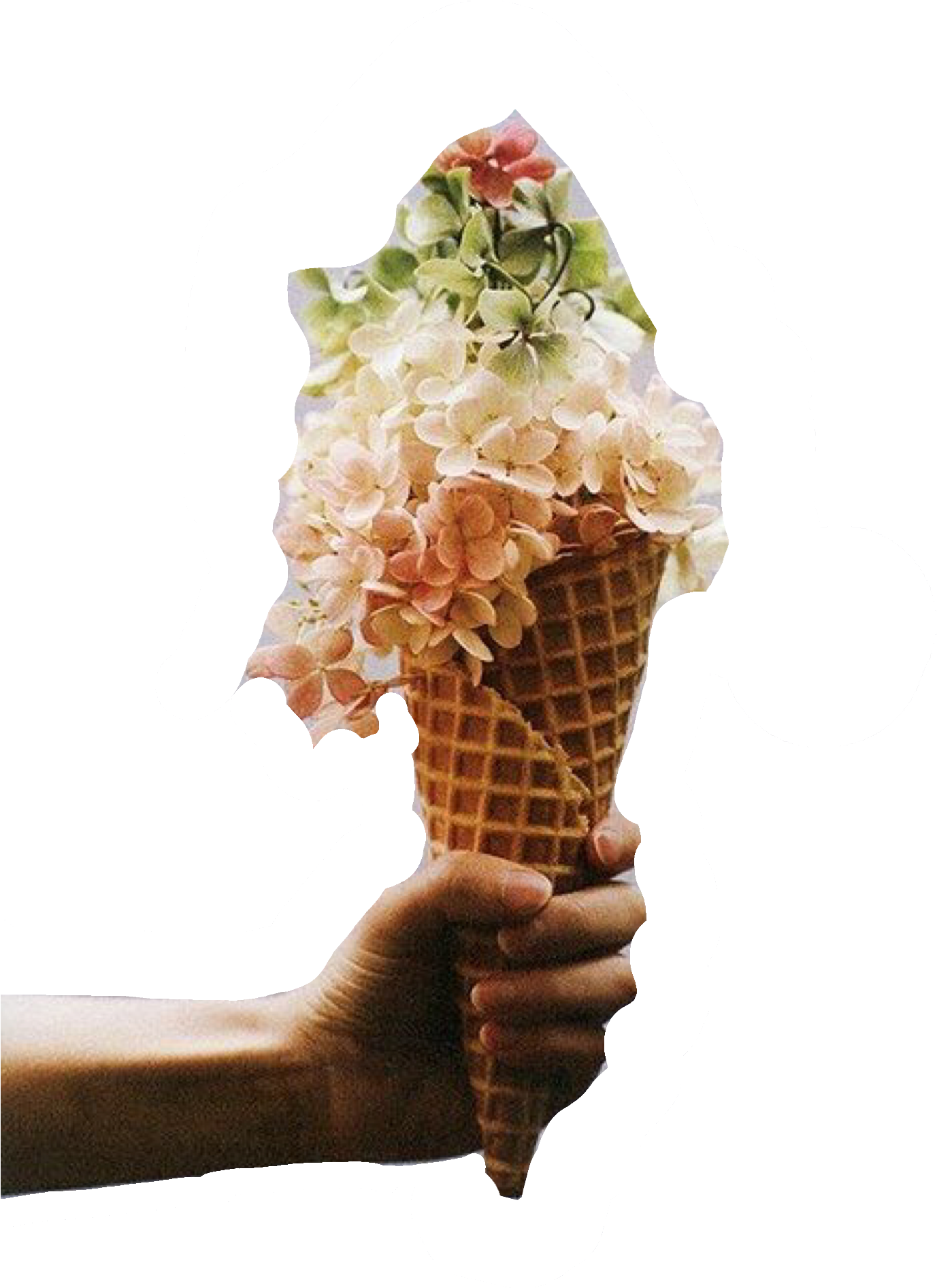 A Hand Holding A Flower In A Cone
