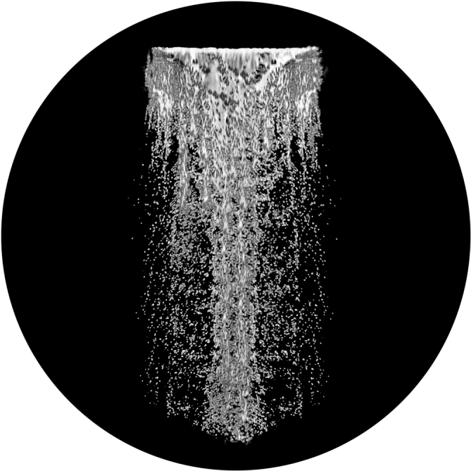 A Water Falling From A Shower Head