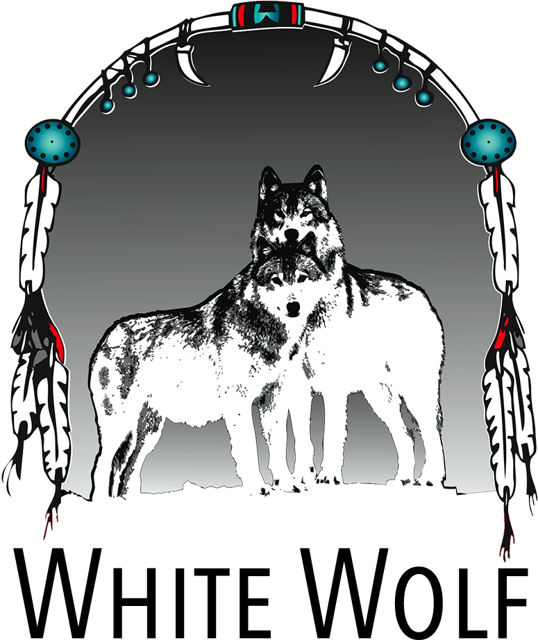 A Wolf Standing In A Circle With Feathers And Beads
