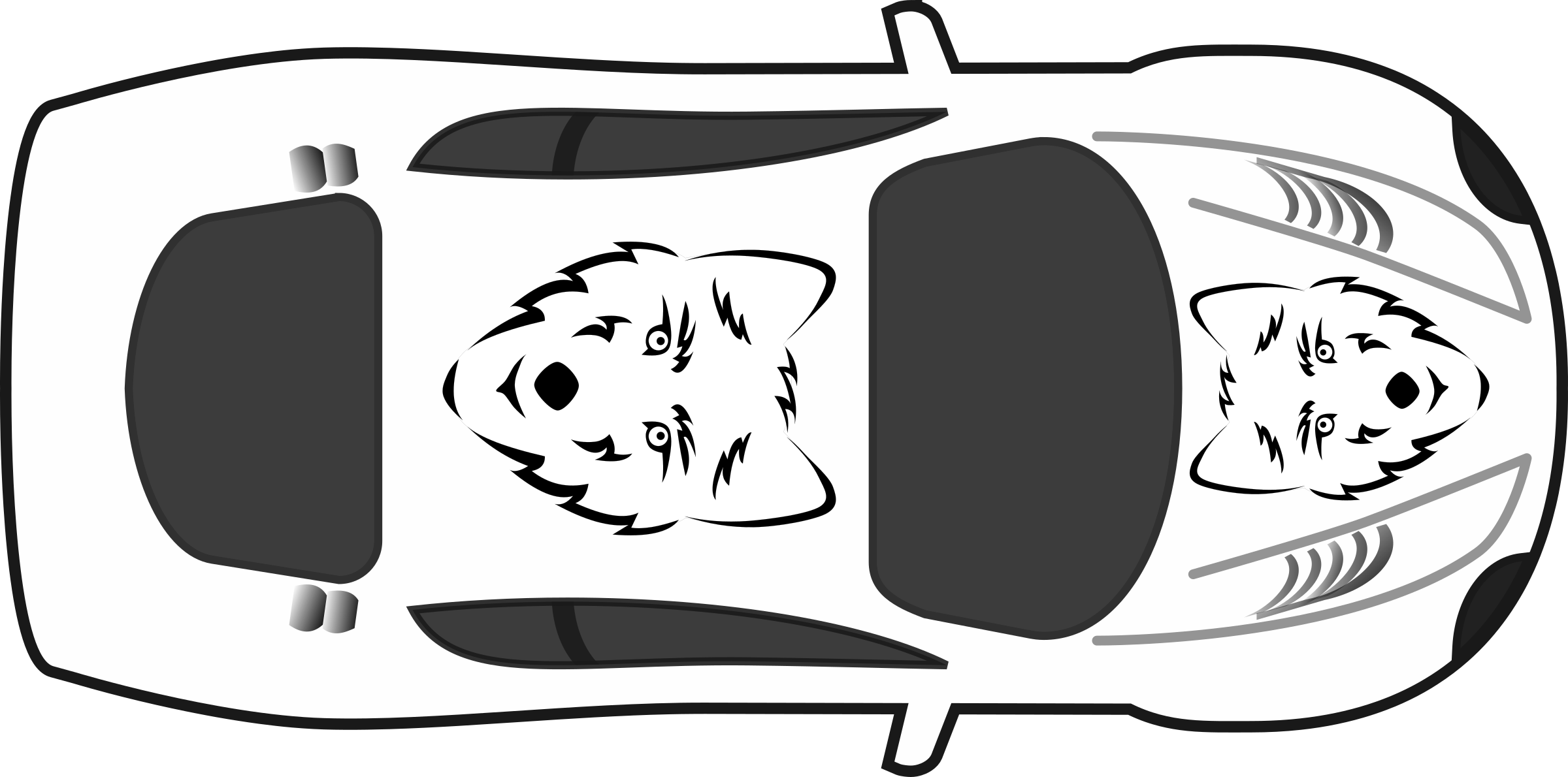 A White Car With A Wolf Face