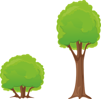 A Couple Of Trees With Green Leaves
