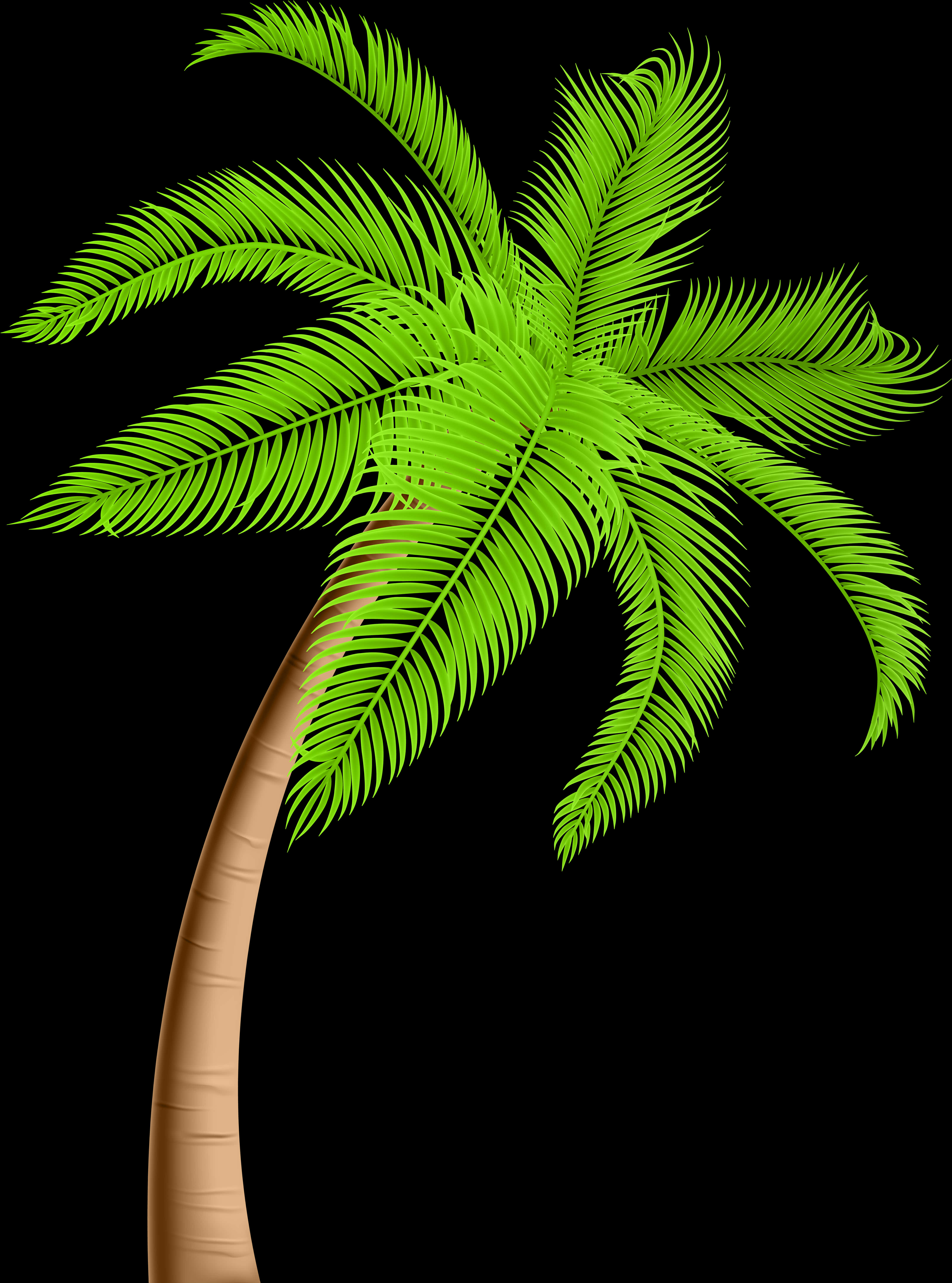 A Palm Tree With Green Leaves