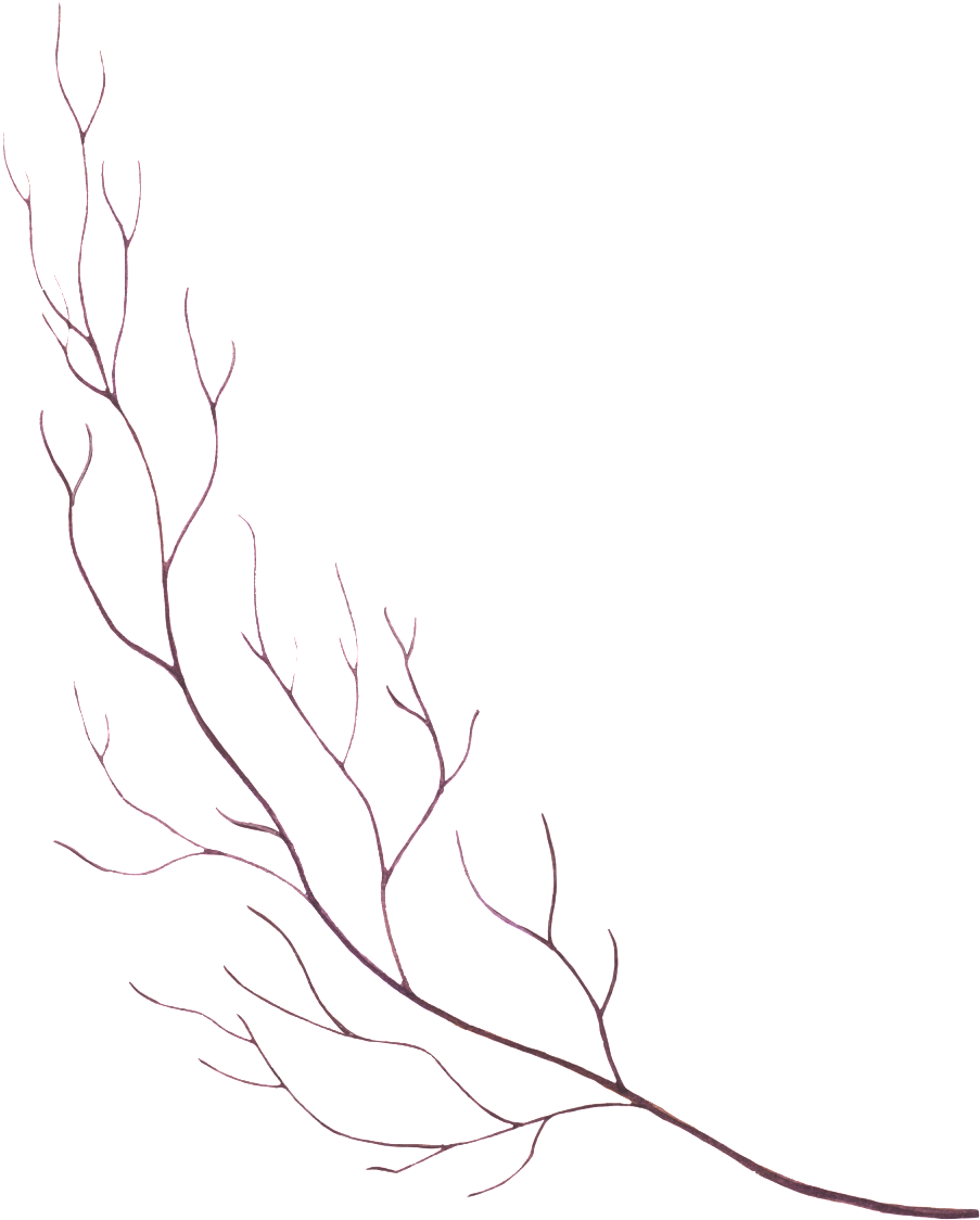 A Branch With Pink Lines On A Black Background