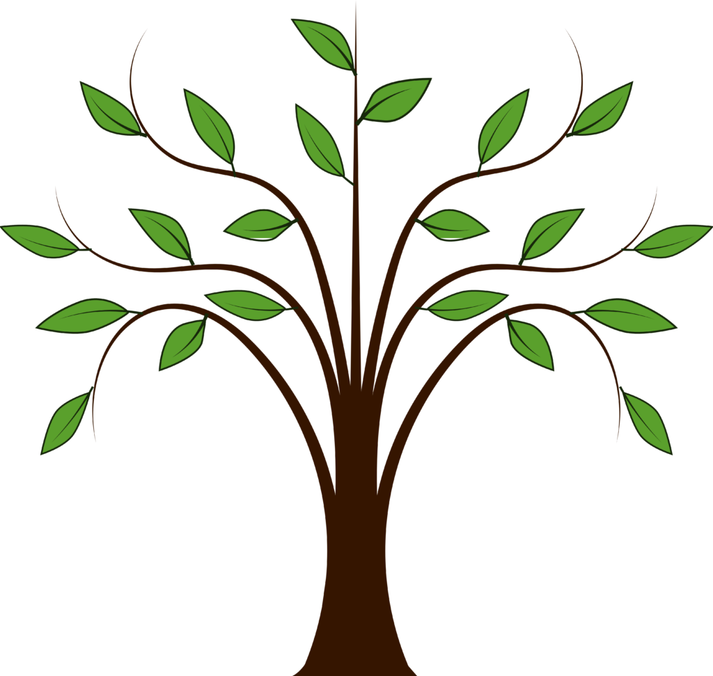 Wavy Tree Branch