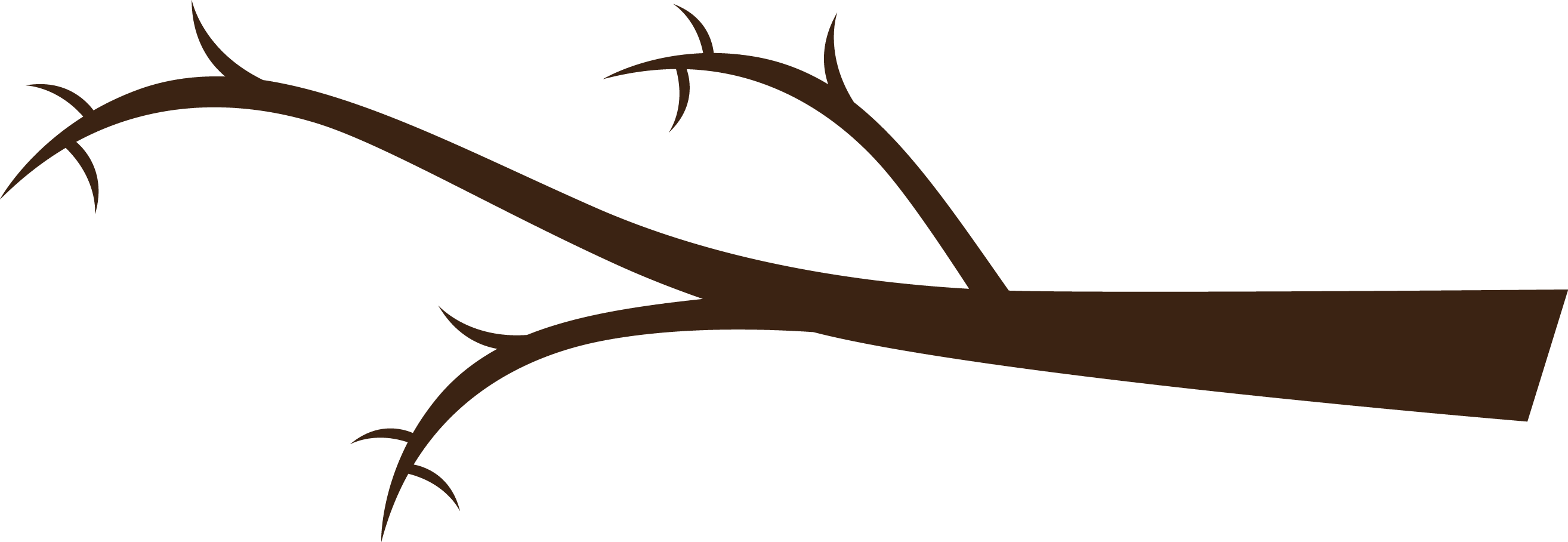 A Brown Branch With No Leaves